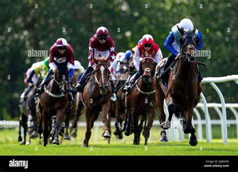 Newbury runners and riders .